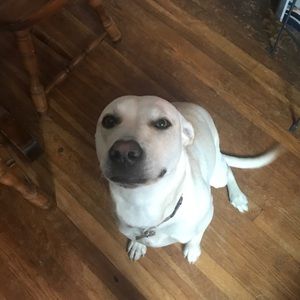 Meet your Posher, Robert